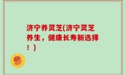济宁养灵芝(济宁灵芝养生，健康长寿新选择！)