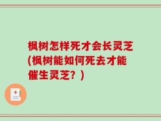 枫树怎样死才会长灵芝(枫树能如何死去才能催生灵芝？)