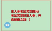 玉人参老鼠灵芝图片(老鼠灵芝配玉人参，开启健康之路！)