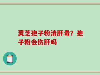 灵芝孢子粉清肝毒？孢子粉会伤肝吗