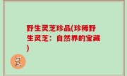 野生灵芝珍品(珍稀野生灵芝：自然界的宝藏)