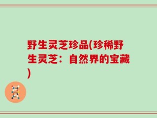 野生灵芝珍品(珍稀野生灵芝：自然界的宝藏)