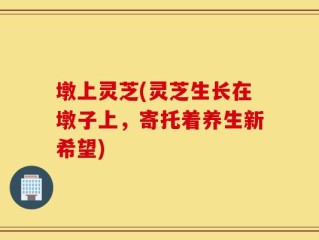 墩上灵芝(灵芝生长在墩子上，寄托着养生新希望)