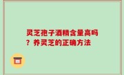 灵芝孢子酒精含量高吗？养灵芝的正确方法