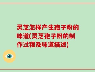 灵芝怎样产生孢子粉的味道(灵芝孢子粉的制作过程及味道描述)