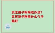 灵芝孢子粉采收办法？灵芝孢子粉用什么勺子最好