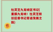杜灵芝九龙坡区书记(重振九龙坡！杜灵芝担任区委书记寄语发展之路)