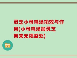 灵芝小母鸡汤功效与作用(小母鸡汤加灵芝 带来无限益处)