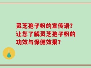灵芝孢子粉的宣传语？让您了解灵芝孢子粉的功效与保健效果？