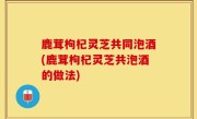 鹿茸枸杞灵芝共同泡酒(鹿茸枸杞灵芝共泡酒的做法)