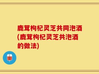 鹿茸枸杞灵芝共同泡酒(鹿茸枸杞灵芝共泡酒的做法)