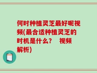 何时种植灵芝最好呢视频(最合适种植灵芝的时机是什么？  视频解析)
