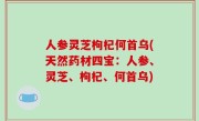 人参灵芝枸杞何首乌(天然药材四宝：人参、灵芝、枸杞、何首乌)