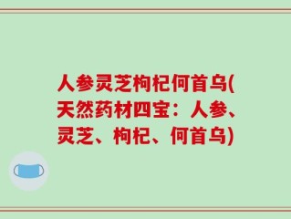人参灵芝枸杞何首乌(天然药材四宝：人参、灵芝、枸杞、何首乌)