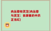肉丛蓉和灵芝(肉丛蓉与灵芝：食肆里的中药正当红)