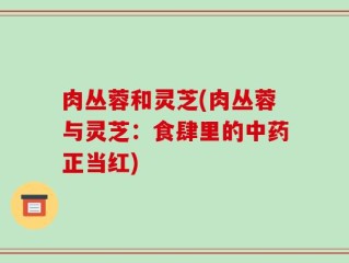 肉丛蓉和灵芝(肉丛蓉与灵芝：食肆里的中药正当红)