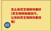 怎么拍灵芝视频效果好(灵芝视频拍摄技巧，让你的灵芝视频效果惊艳)