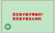 灵芝孢子属于哪类药？灵芝孢子是怎么样的