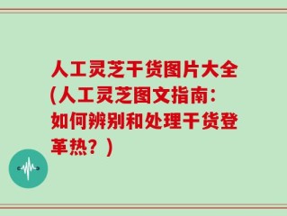 人工灵芝干货图片大全(人工灵芝图文指南：如何辨别和处理干货登革热？)