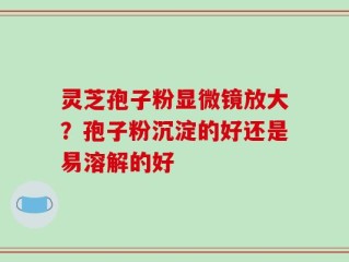 灵芝孢子粉显微镜放大？孢子粉沉淀的好还是易溶解的好