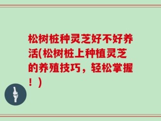 松树桩种灵芝好不好养活(松树桩上种植灵芝的养殖技巧，轻松掌握！)
