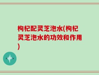 枸杞配灵芝泡水(枸杞灵芝泡水的功效和作用)
