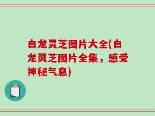 白龙灵芝图片大全(白龙灵芝图片全集，感受神秘气息)