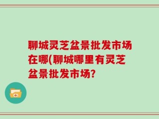 聊城灵芝盆景批发市场在哪(聊城哪里有灵芝盆景批发市场？