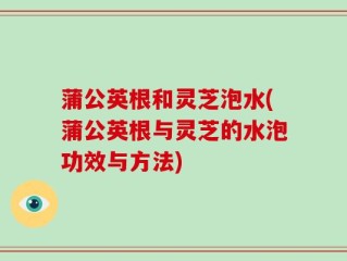 蒲公英根和灵芝泡水(蒲公英根与灵芝的水泡功效与方法)