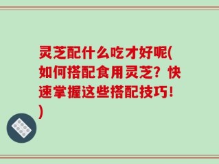 灵芝配什么吃才好呢(如何搭配食用灵芝？快速掌握这些搭配技巧！)