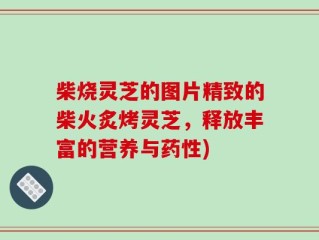 柴烧灵芝的图片精致的柴火炙烤灵芝，释放丰富的营养与药性)