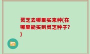 灵芝去哪里买来种(在哪里能买到灵芝种子？)