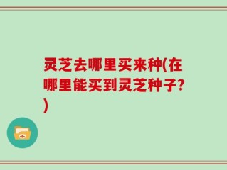 灵芝去哪里买来种(在哪里能买到灵芝种子？)
