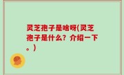 灵芝孢子是啥呀(灵芝孢子是什么？介绍一下。)