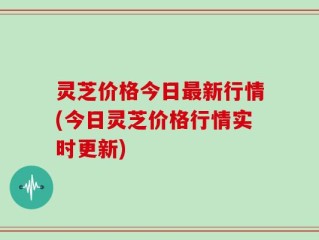 灵芝价格今日最新行情(今日灵芝价格行情实时更新)