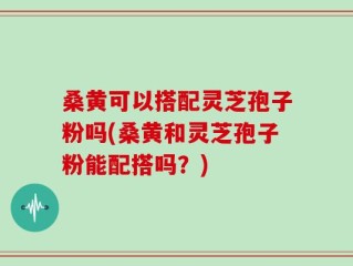 桑黄可以搭配灵芝孢子粉吗(桑黄和灵芝孢子粉能配搭吗？)
