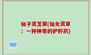 仙子灵芝草(仙女灵草：一种神奇的护肝药)