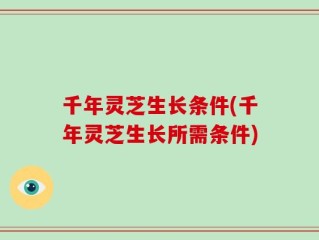 千年灵芝生长条件(千年灵芝生长所需条件)