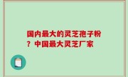 国内最大的灵芝孢子粉？中国最大灵芝厂家