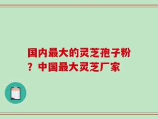 国内最大的灵芝孢子粉？中国最大灵芝厂家