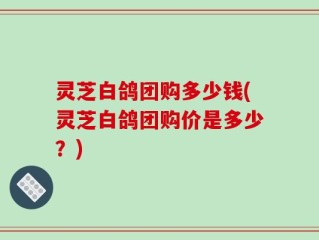 灵芝白鸽团购多少钱(灵芝白鸽团购价是多少？)