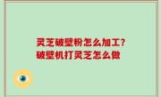 灵芝破壁粉怎么加工？破壁机打灵芝怎么做