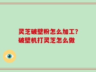 灵芝破壁粉怎么加工？破壁机打灵芝怎么做