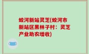 蛟河新站灵芝(蛟河市新站区黑林子村：灵芝产业助农增收)