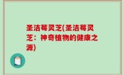 圣洁莓灵芝(圣洁莓灵芝：神奇植物的健康之源)