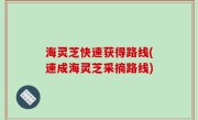 海灵芝快速获得路线(速成海灵芝采摘路线)