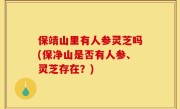 保靖山里有人参灵芝吗(保净山是否有人参、灵芝存在？)