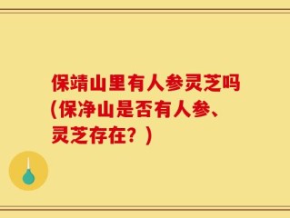 保靖山里有人参灵芝吗(保净山是否有人参、灵芝存在？)
