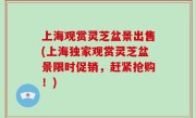 上海观赏灵芝盆景出售(上海独家观赏灵芝盆景限时促销，赶紧抢购！)