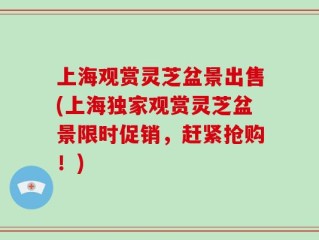 上海观赏灵芝盆景出售(上海独家观赏灵芝盆景限时促销，赶紧抢购！)